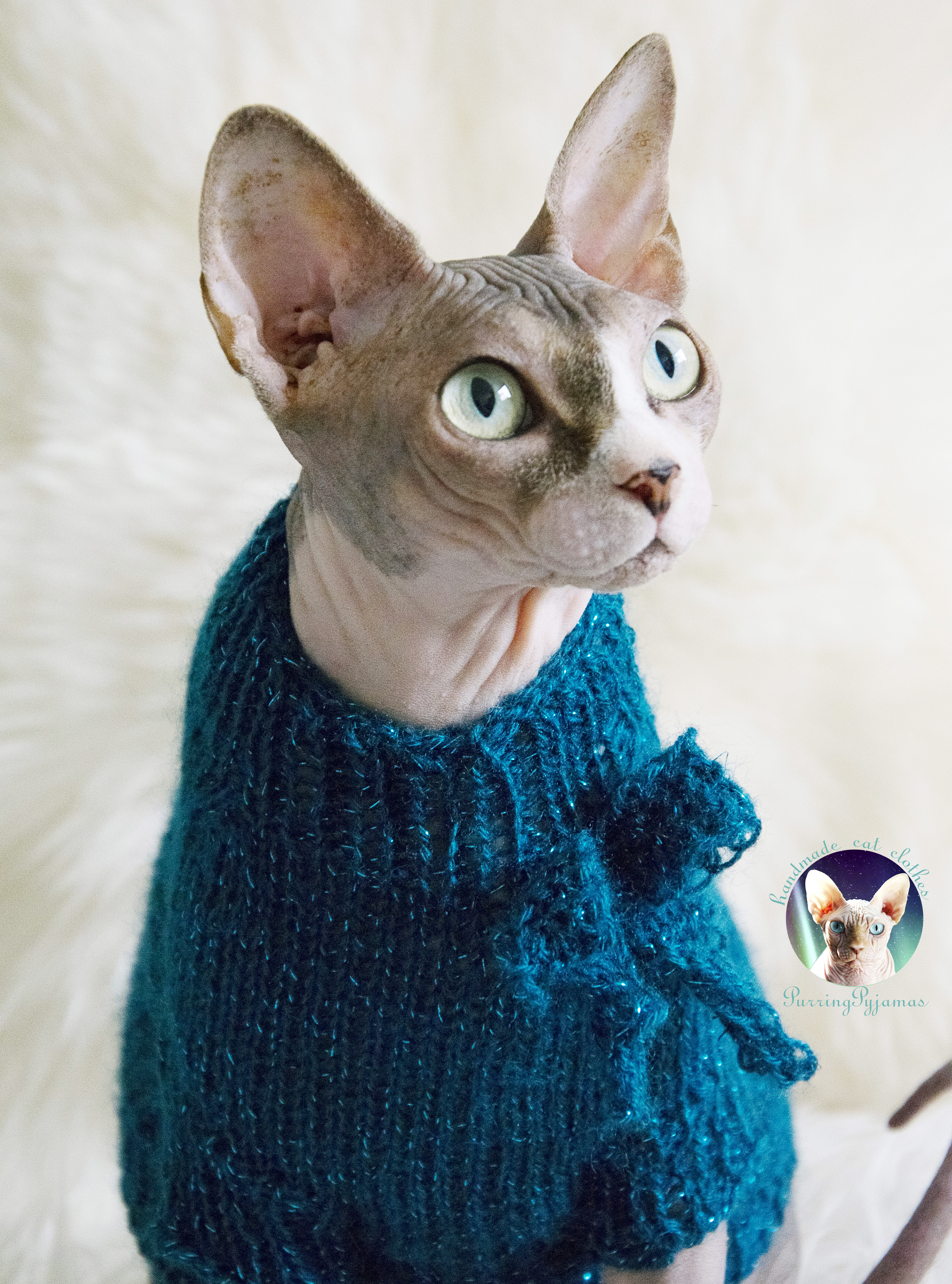 New Sweaters In PurringPyjamas Shop + Aether's Debut As A Model